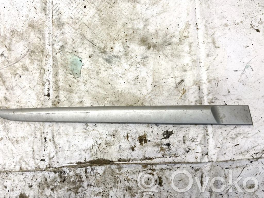 Renault Clio III Rivestimento portiera posteriore (modanatura) 