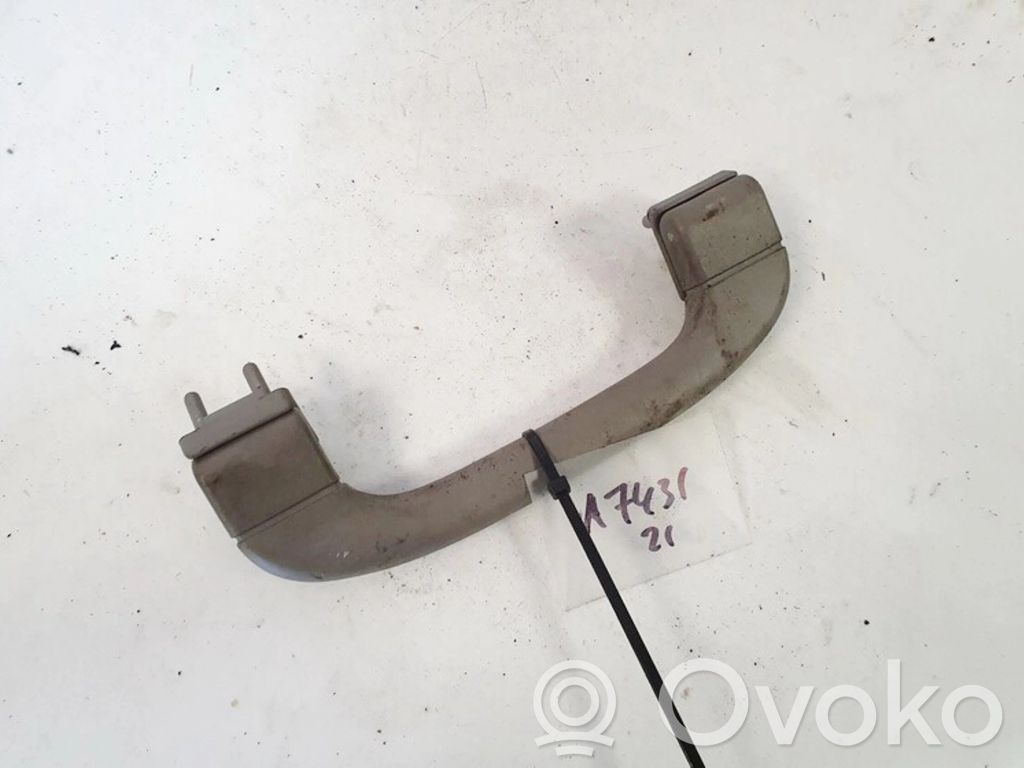 Asidero interior delantero