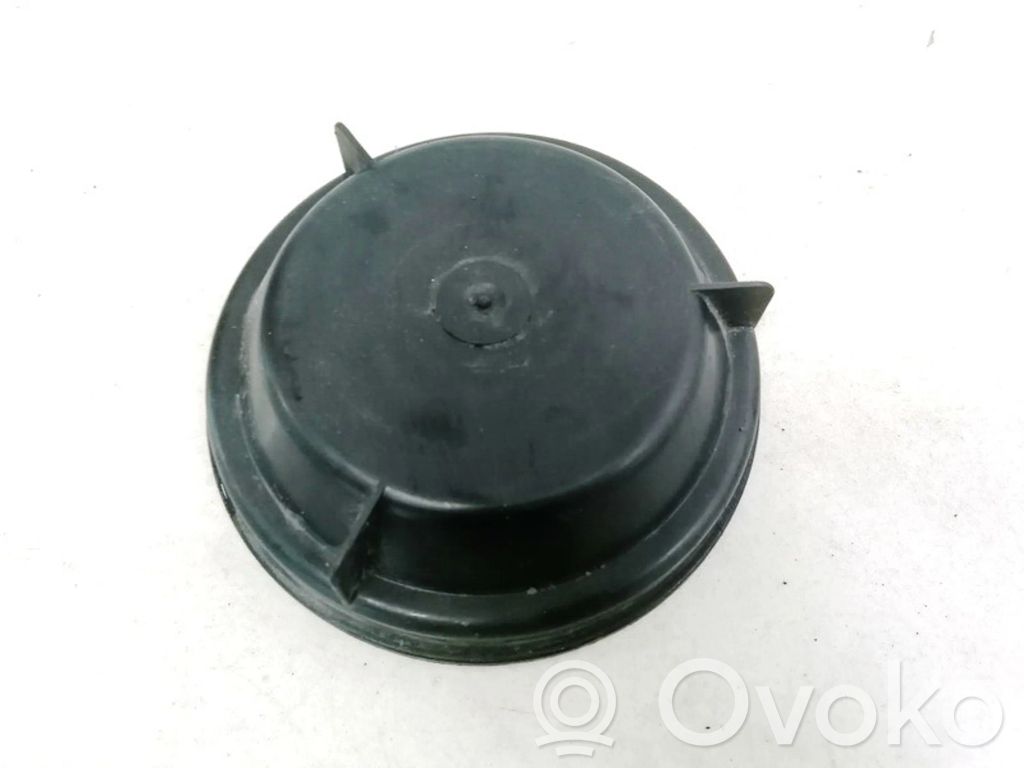 Renault Scenic I Parapolvere per faro/fanale