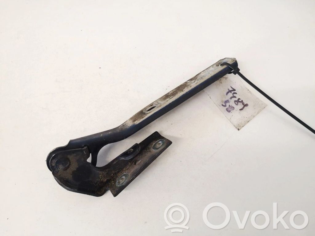 Volkswagen PASSAT B5 Cerniere del vano motore/cofano 