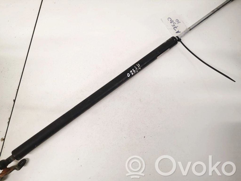 Tailgate/trunk strut/damper