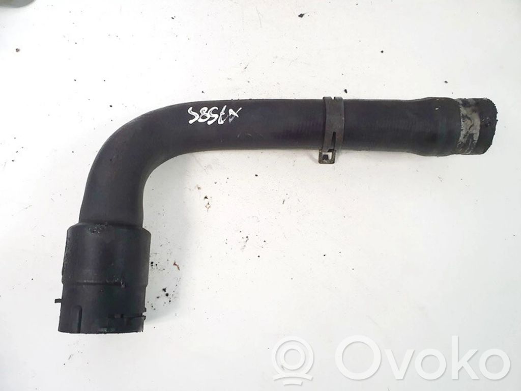 Volkswagen PASSAT B5 Przewód / Wąż chłodnicy 