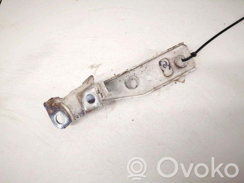 Volkswagen Golf IV Cerniere del vano motore/cofano