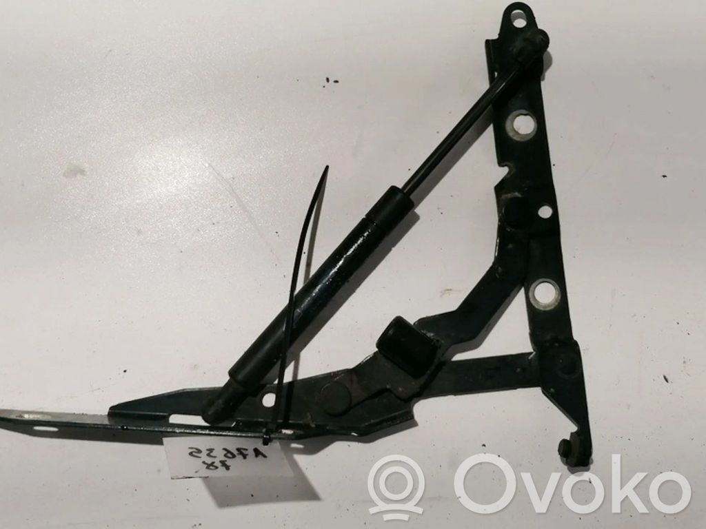 Tailgate/trunk/boot hinge   9542NX,9542NX