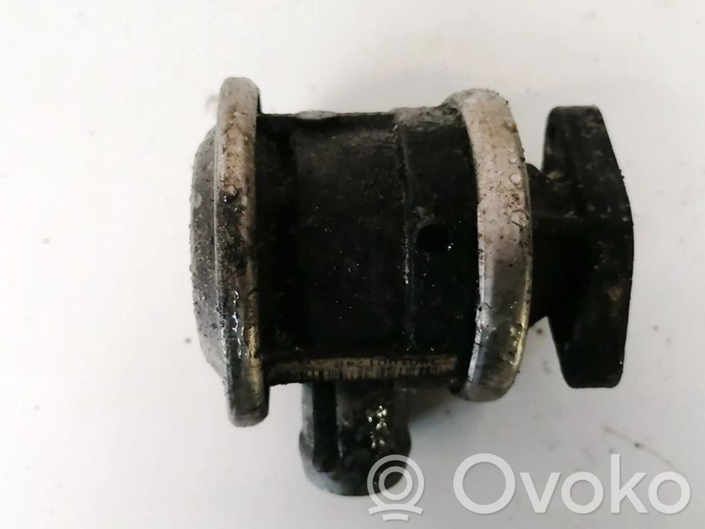 Supapă EGR   72229600,72229600