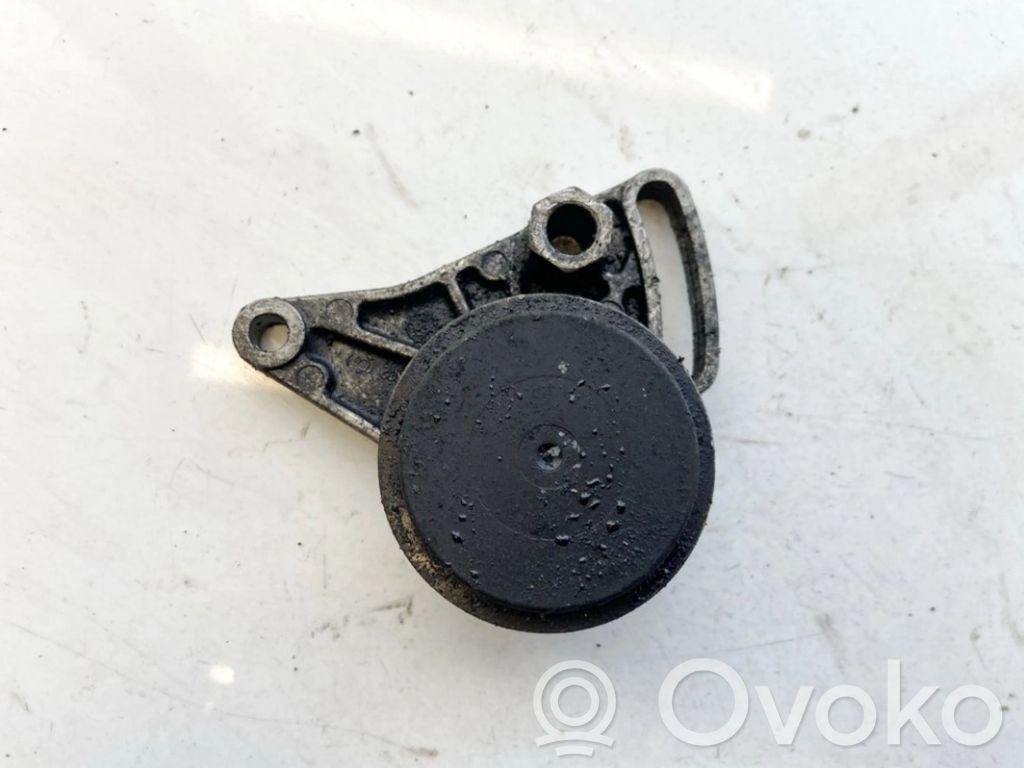 Audi A4 S4 B5 8D Tendicinghia generatore/alternatore 
