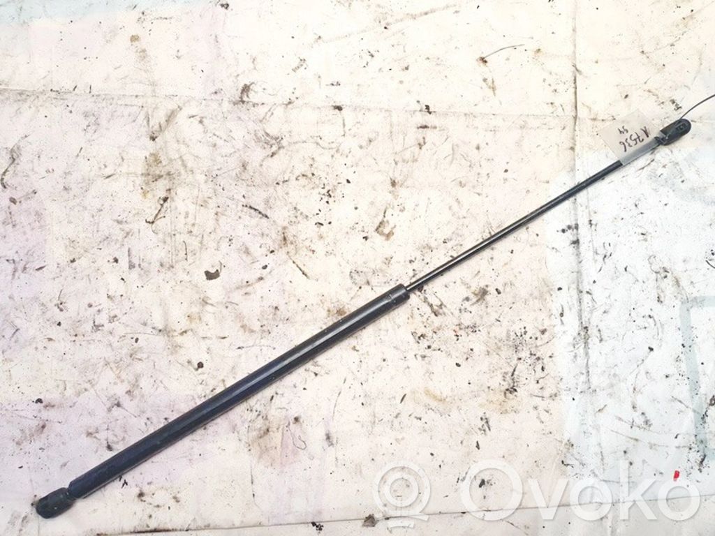 Vérin de capot arrière