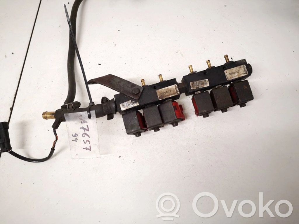 Injector GPL   67R010104,110R000040,110R000040,67R010104