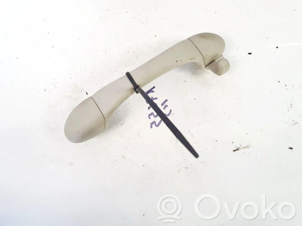 Asidero interior delantero   12794034,12794034