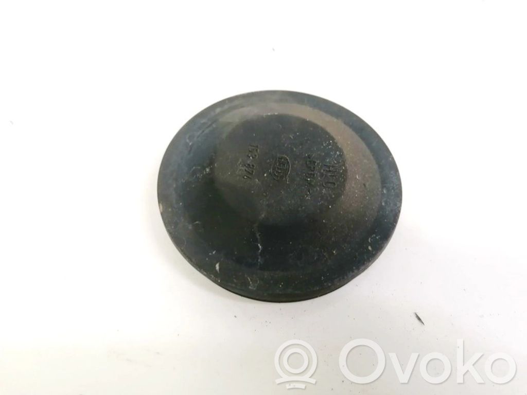 Renault Scenic II - Grand scenic II Parapolvere per faro/fanale
