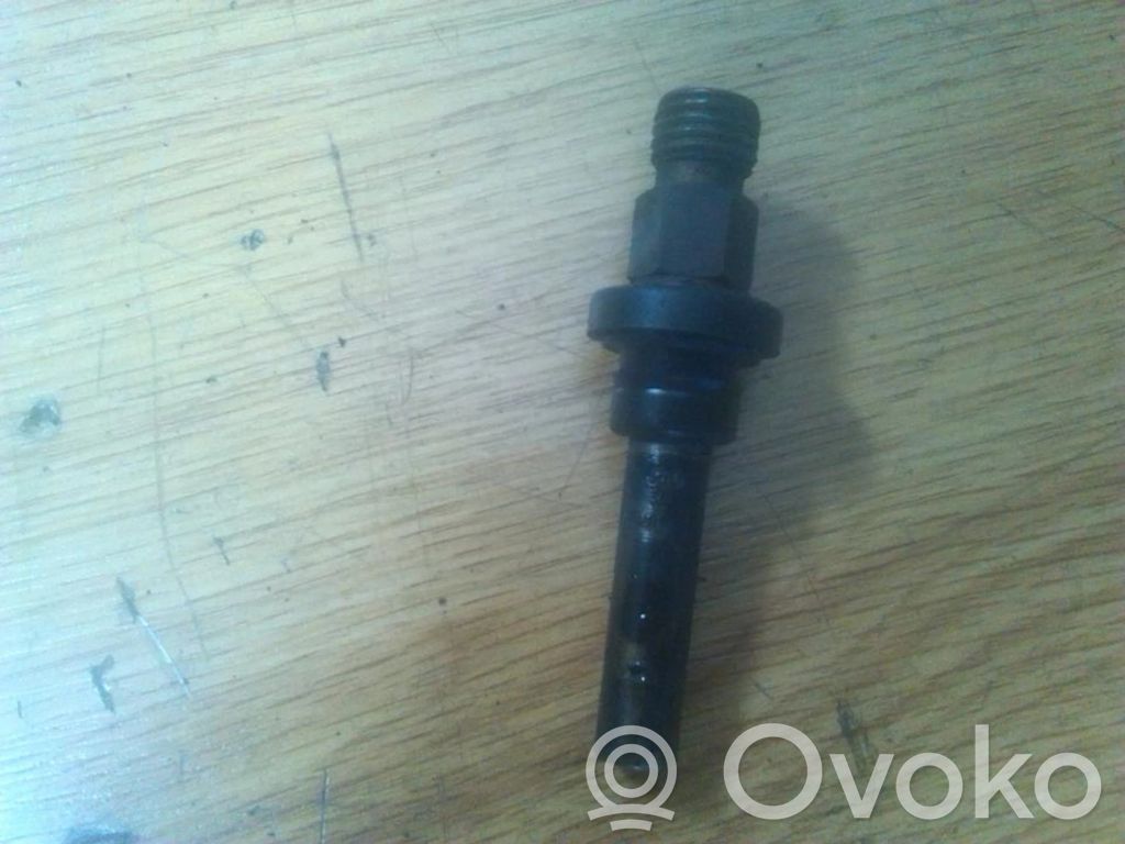 Inyector de combustible   0437502010,0437502010