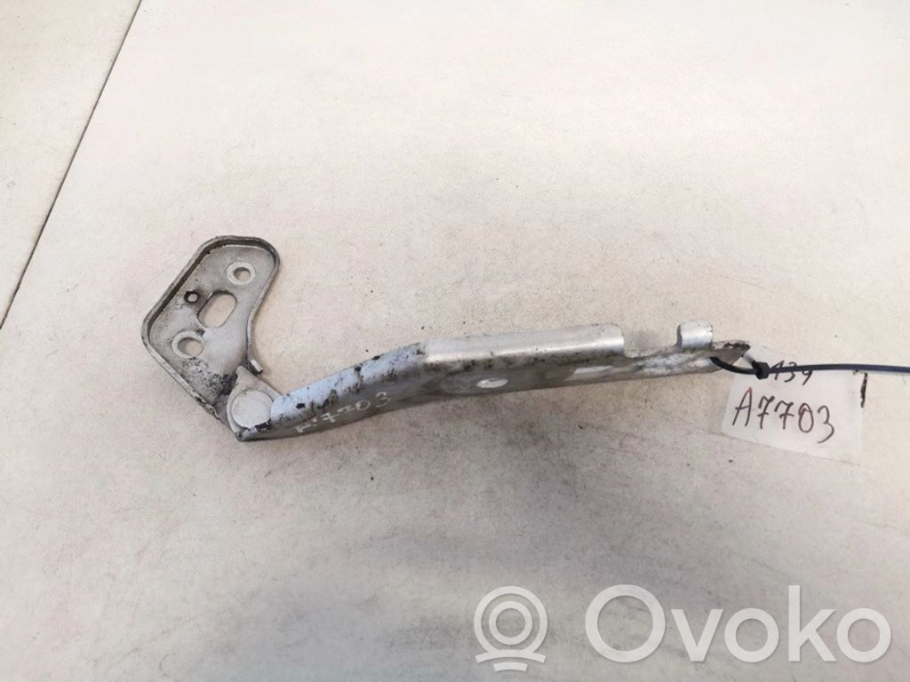 Audi A6 S6 C6 4F Cerniere del vano motore/cofano 