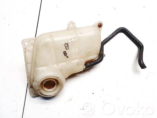 Volkswagen PASSAT B5.5 Vas expansiune/rezervor lichid de răcire 
