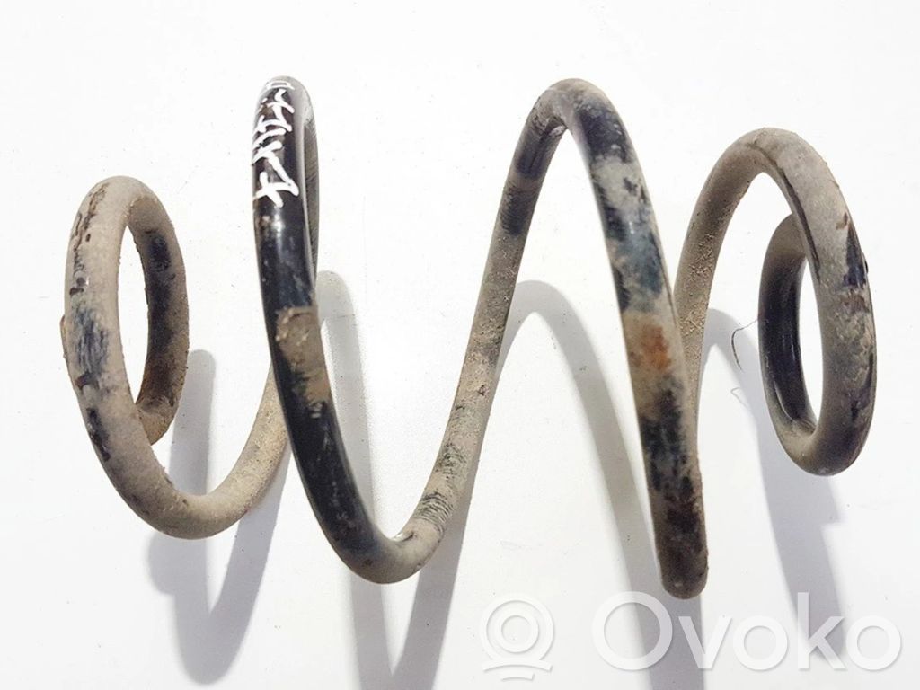 Rear coil spring