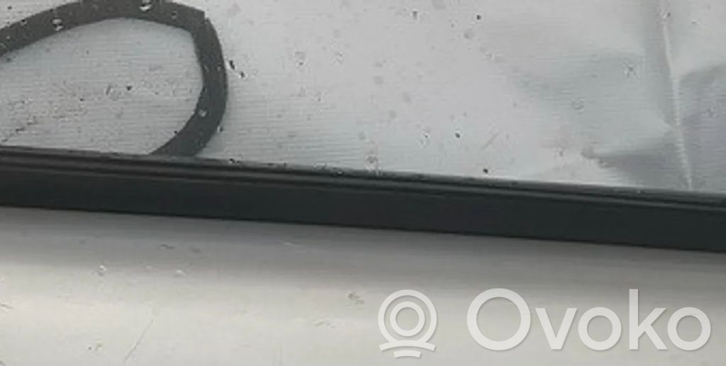 Listón embellecedor de la ventana de la puerta delantera