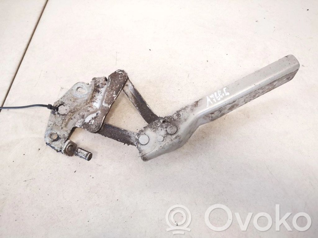 Cerniere del vano motore/cofano   3C0823301D,3C0823301D