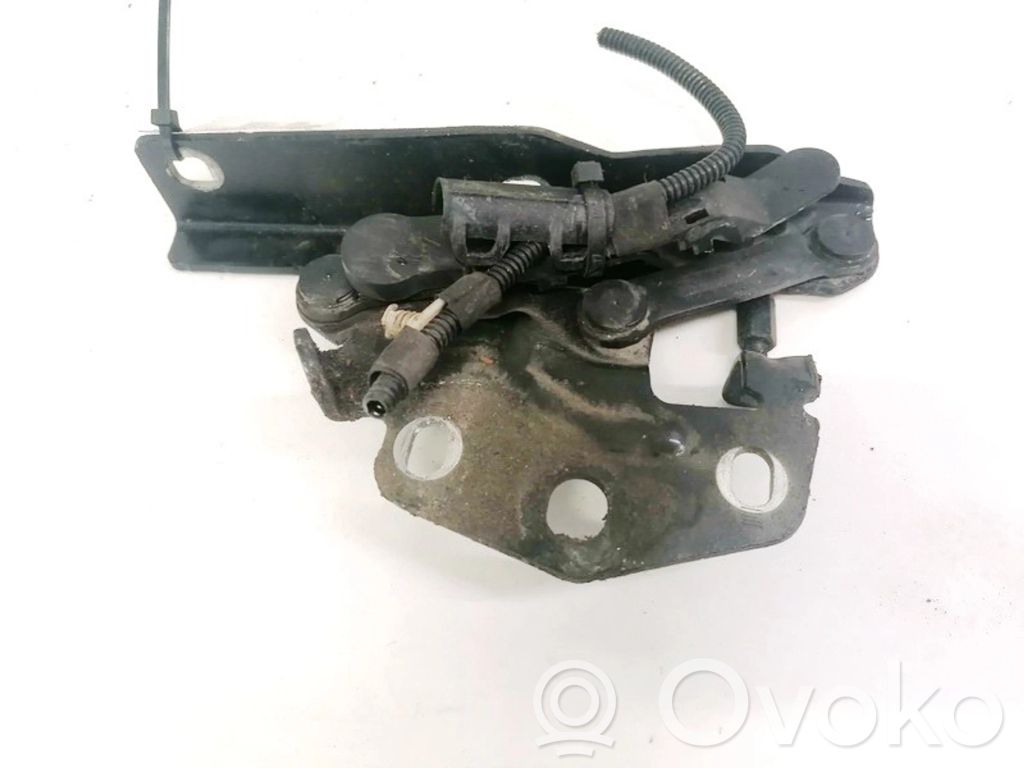 Volkswagen PASSAT B6 Cerniere del vano motore/cofano 