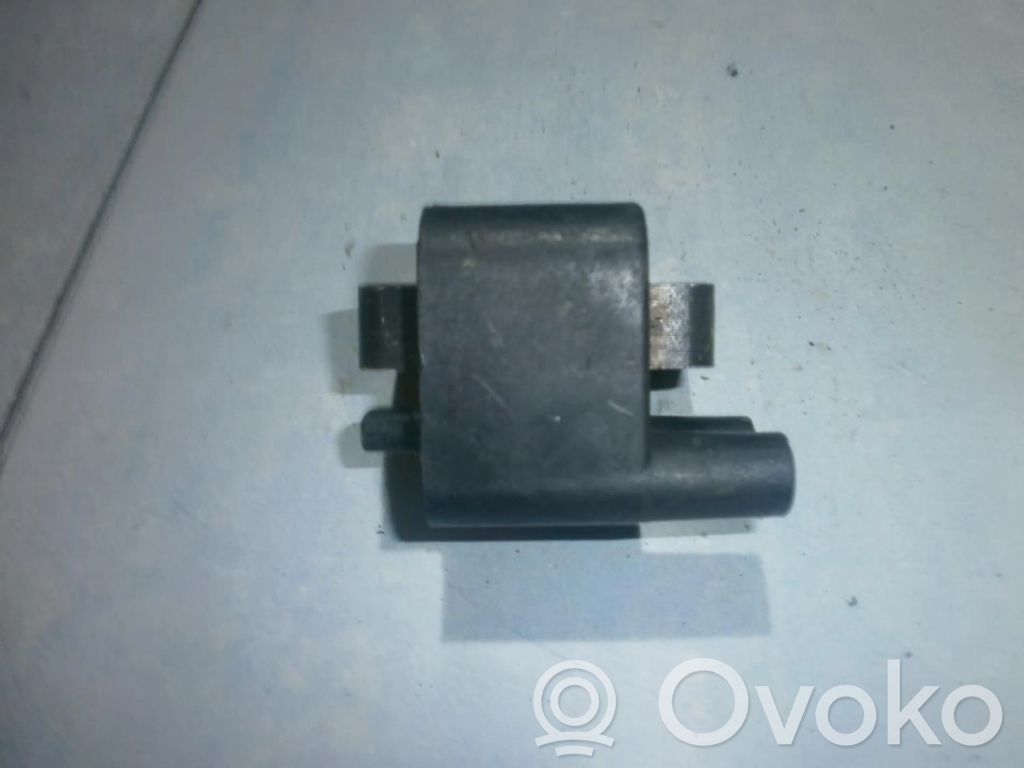 High voltage ignition coil   TIKSLIAINEAISKU,NEAISKU,TIKSLIAI