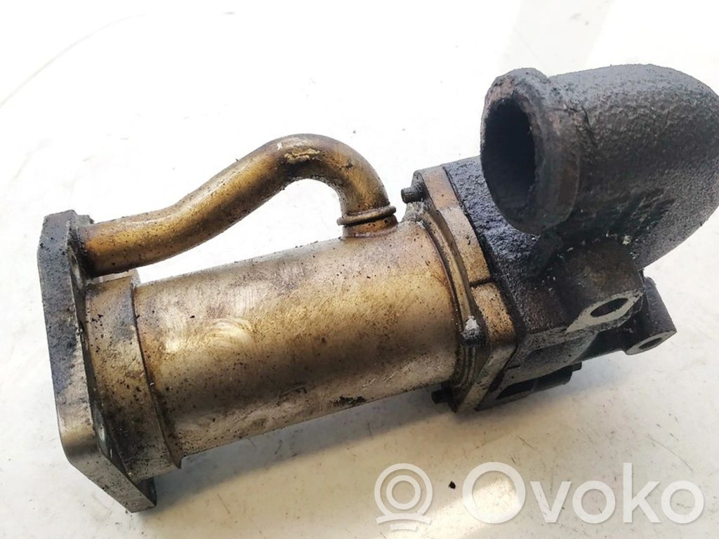 Renault Clio III Valvola di raffreddamento EGR 