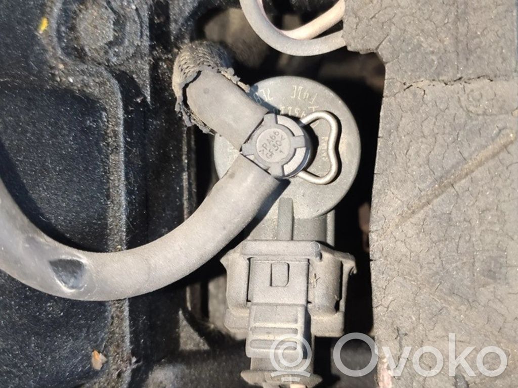 Injektor Einspritzdüse   0445110135,0445110135