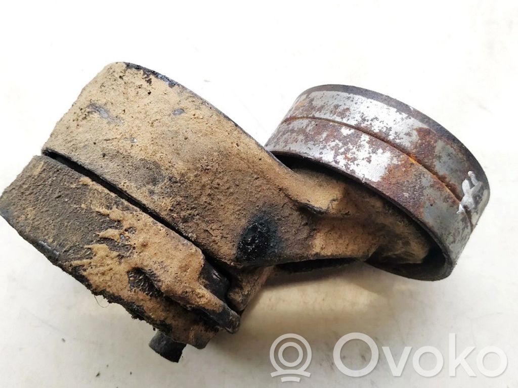 Land Rover Freelander Tensor de correa del alternador 