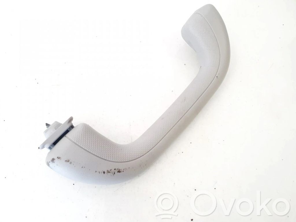 Front interior roof grab handle