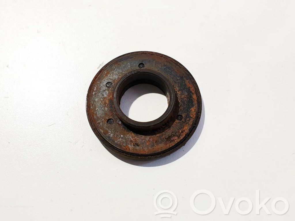 Coil spring mount
