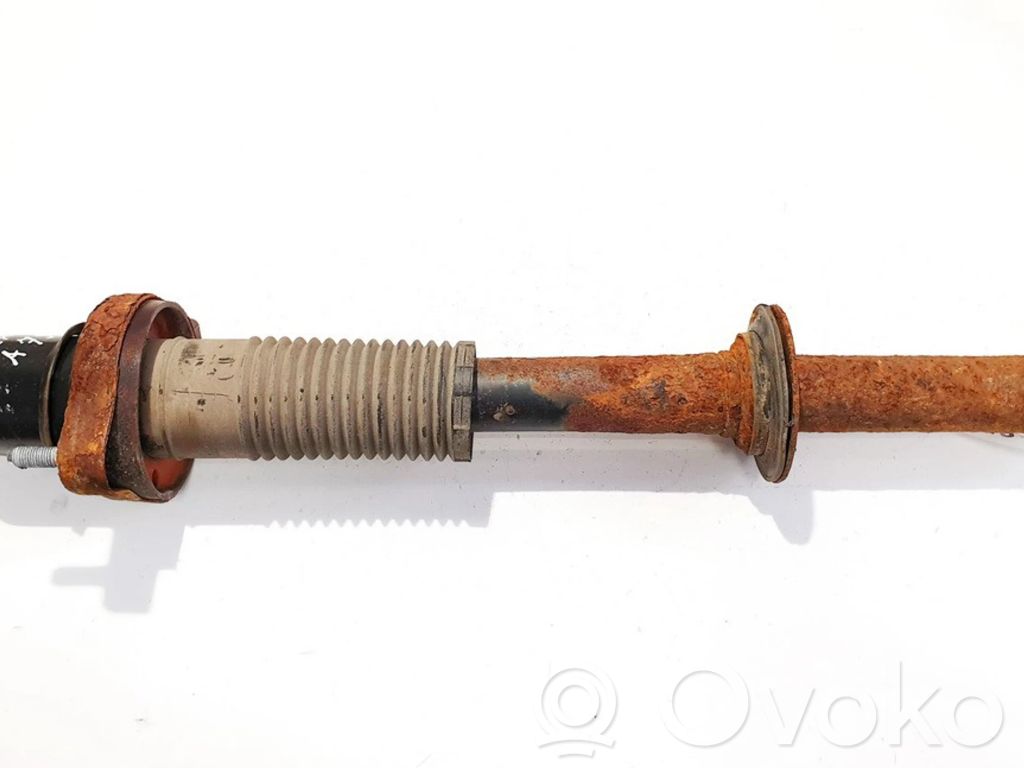 Stoßdämpfer hinten
