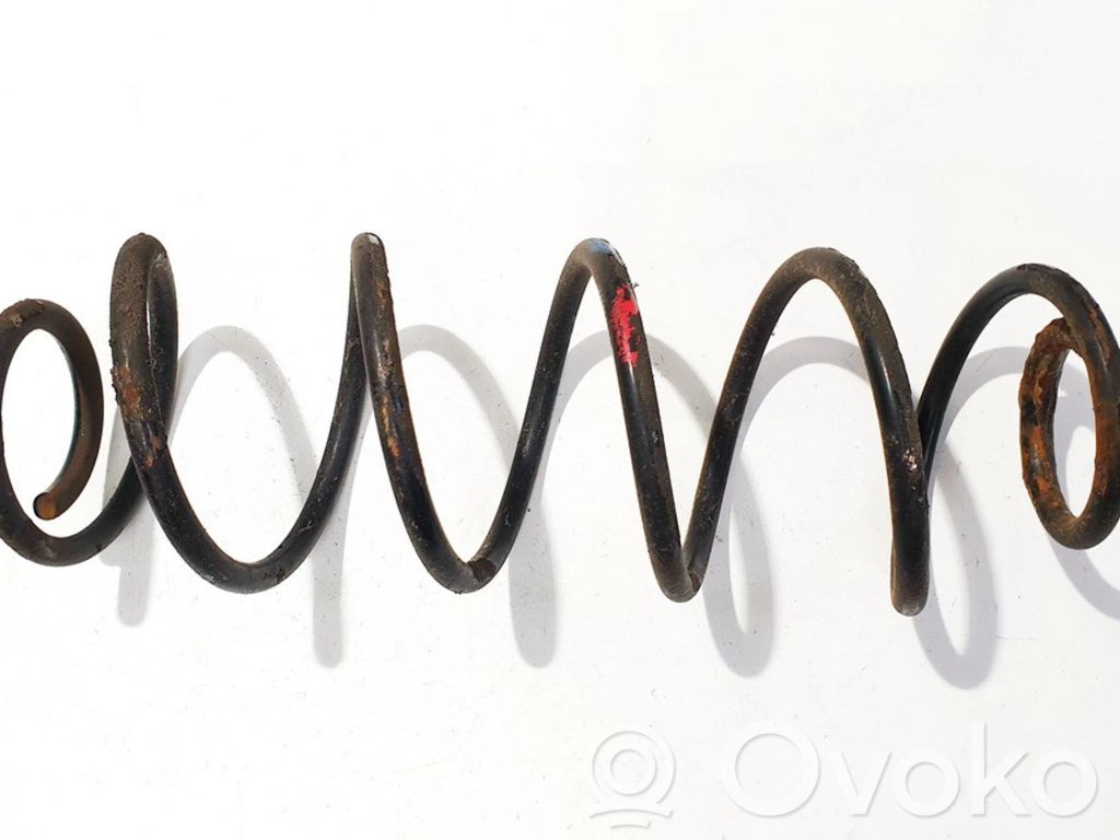 Rear coil spring