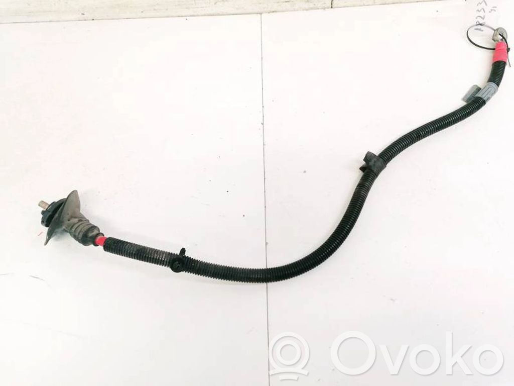 Positive cable (battery)   702000964,702000964