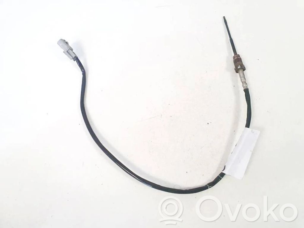 Abgastemperatursensor   226401632R,10S090881,10S090881,226401632R