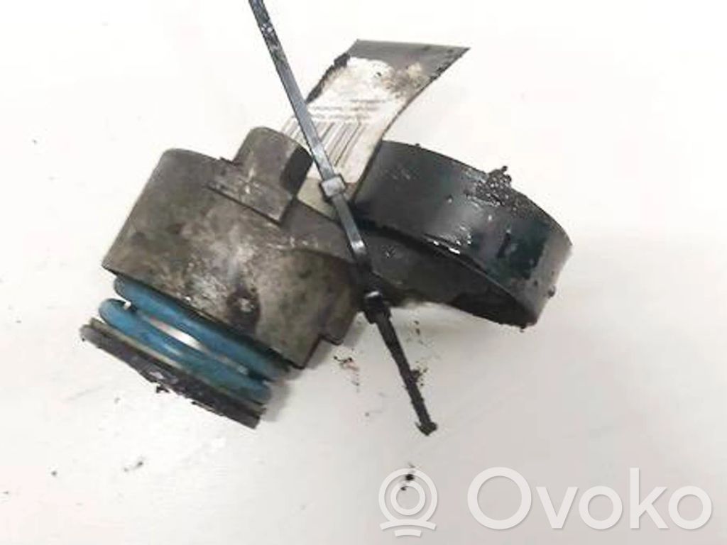 Renault Megane II Întinzător curea generator/alternator 