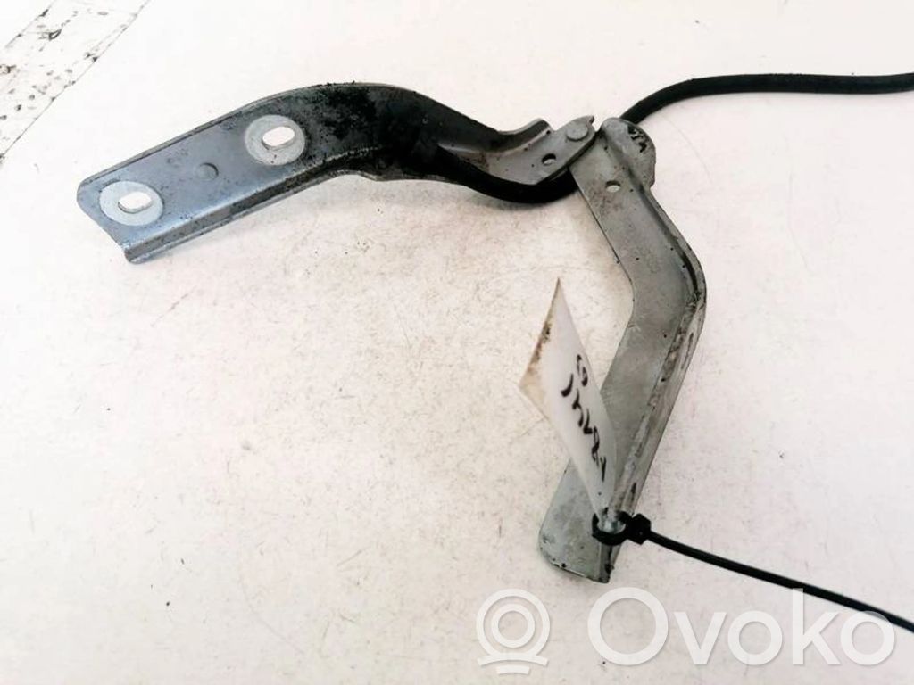 Peugeot 607 Balamale capotă