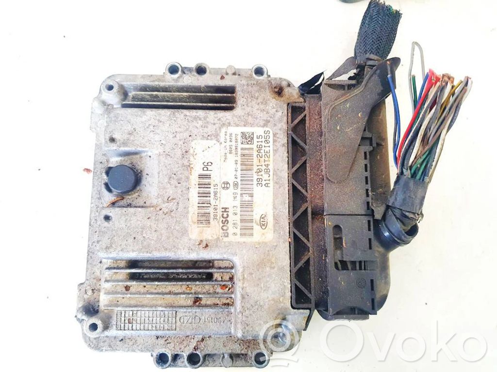 Unidad de control/módulo del motor   0281013149,391012A615,0281013149,391012A615