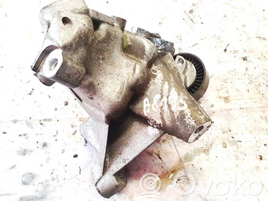 Volvo S80 Napinacz paska alternatora 
