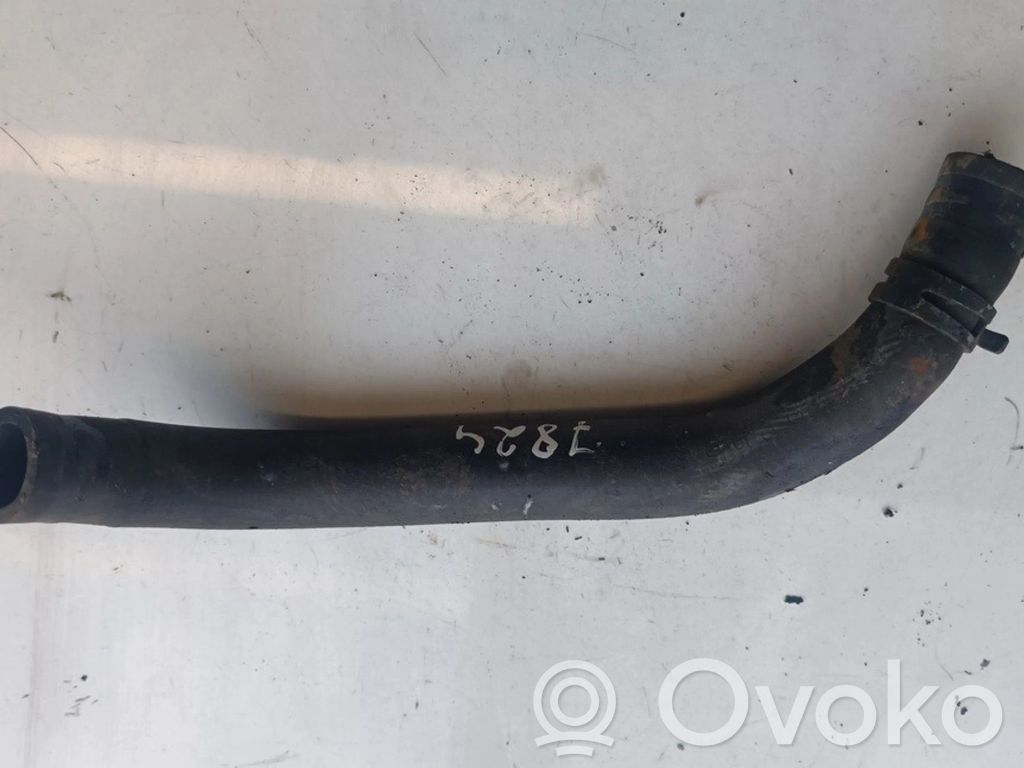Skoda Octavia Mk2 (1Z) Tubo flessibile radiatore 