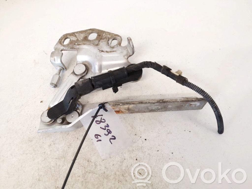 Volkswagen PASSAT B6 Cerniere del vano motore/cofano 