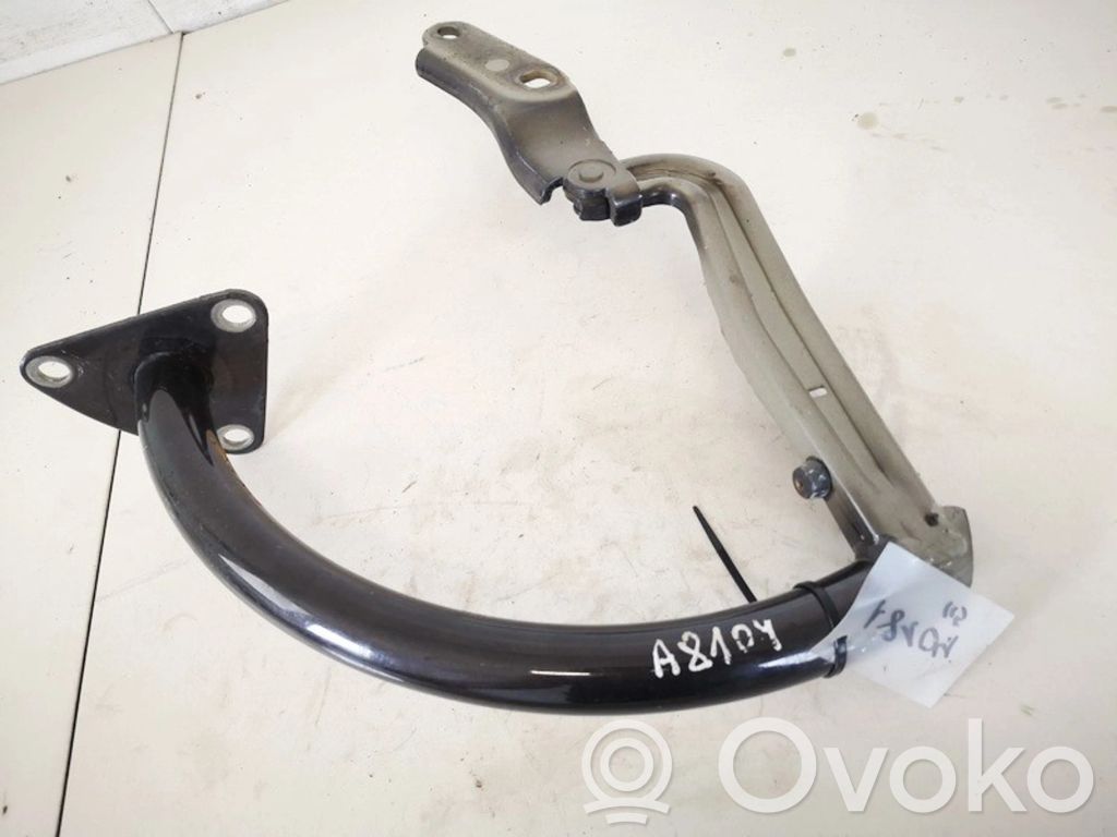 Volkswagen PASSAT B6 Cerniera portellone posteriore/bagagliaio