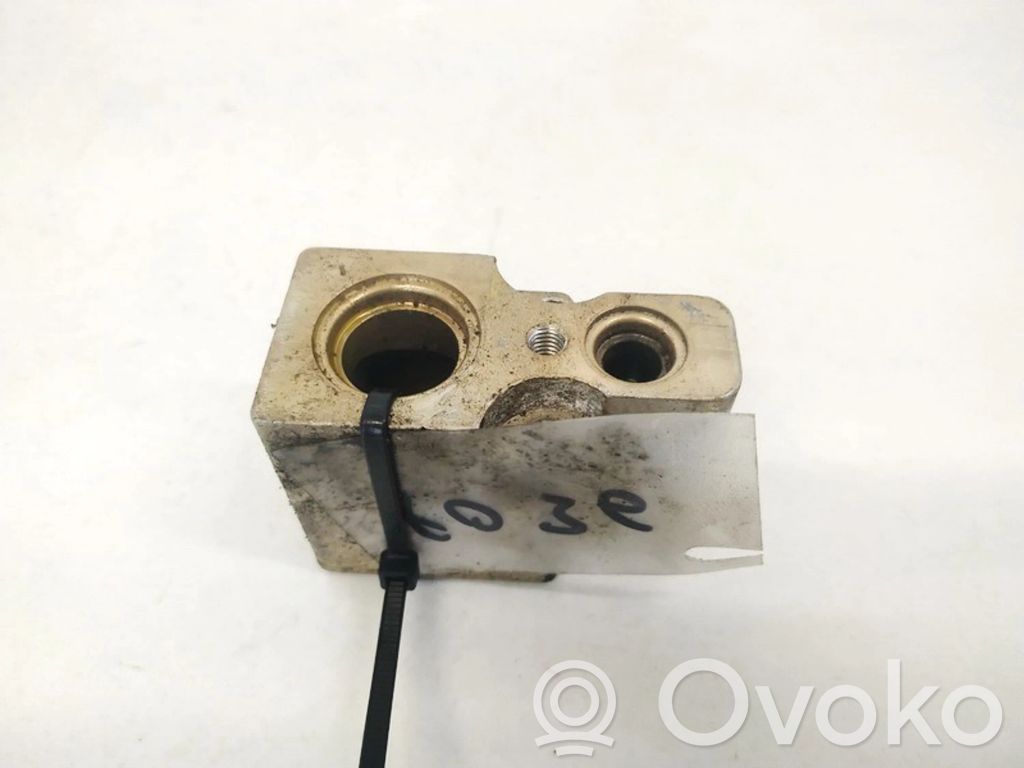 Seat Toledo II (1M) Valvola ad espansione dell’aria condizionata (A/C) 