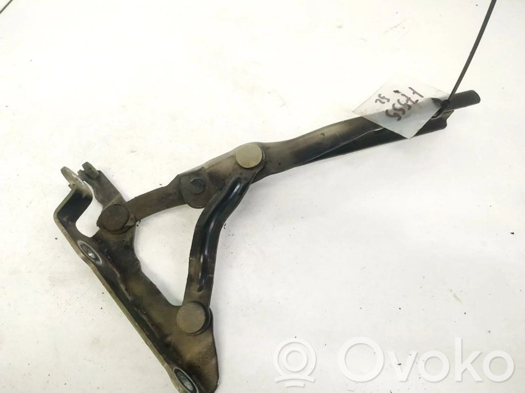 Skoda Octavia Mk2 (1Z) Cerniere del vano motore/cofano