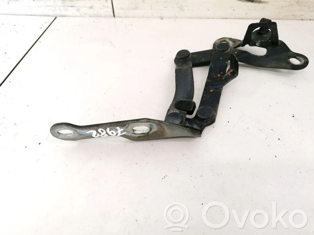 Ford Galaxy Balamale capotă 