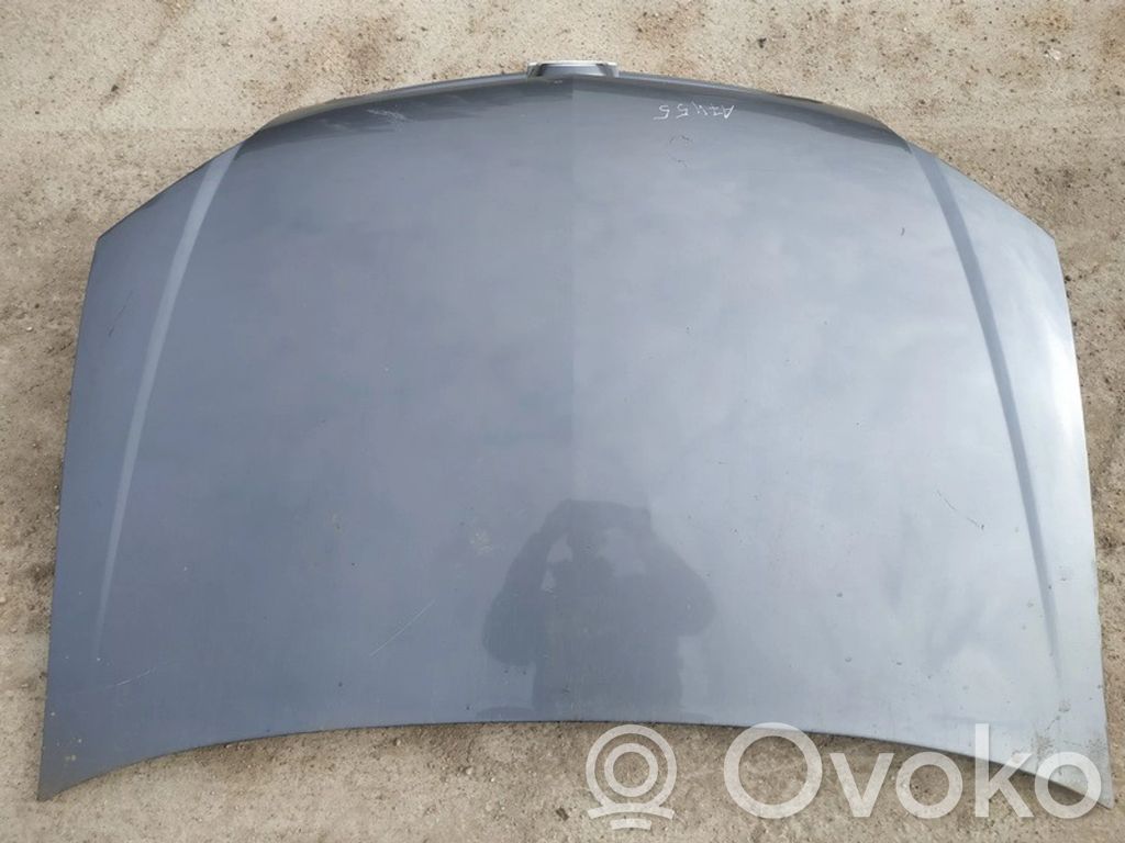 Opel Signum Motorhaube