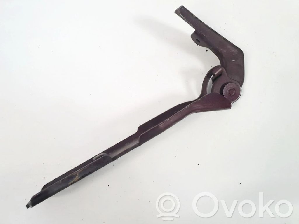 Audi A4 S4 B6 8E 8H Cerniere del vano motore/cofano