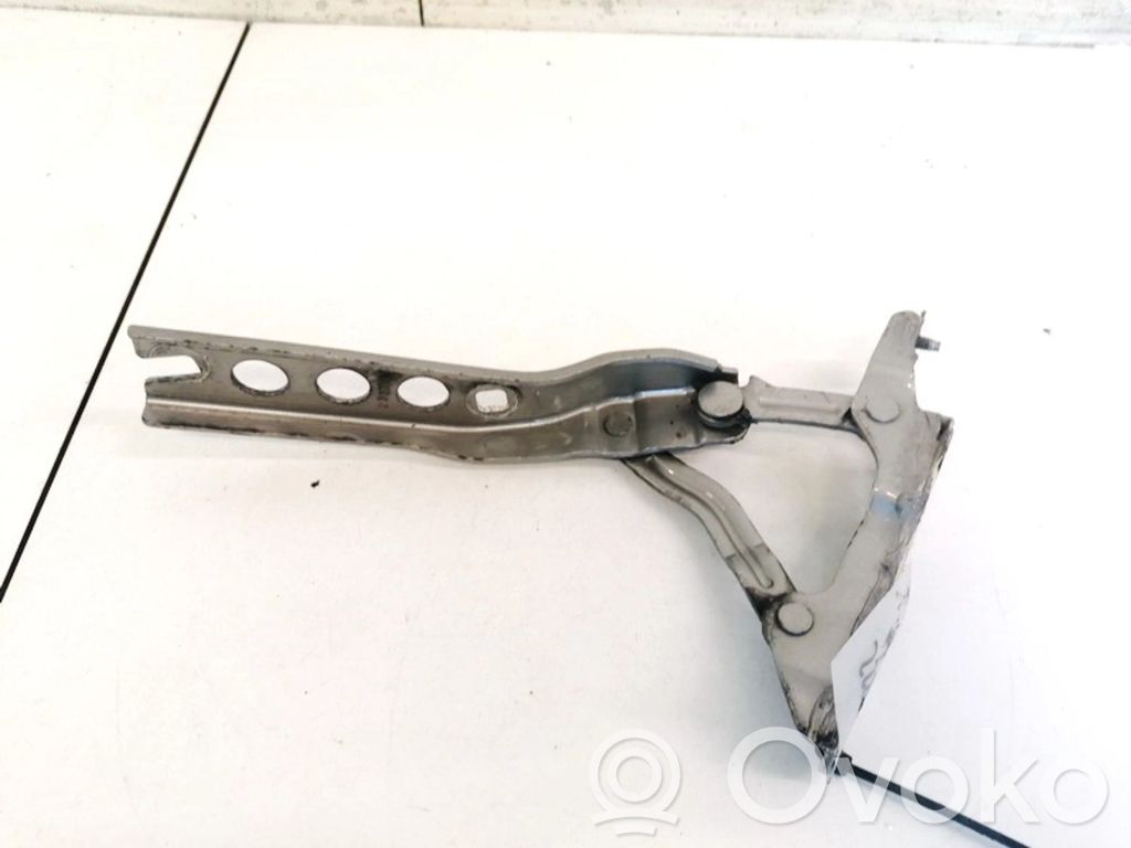 Skoda Octavia Mk2 (1Z) Cerniere del vano motore/cofano