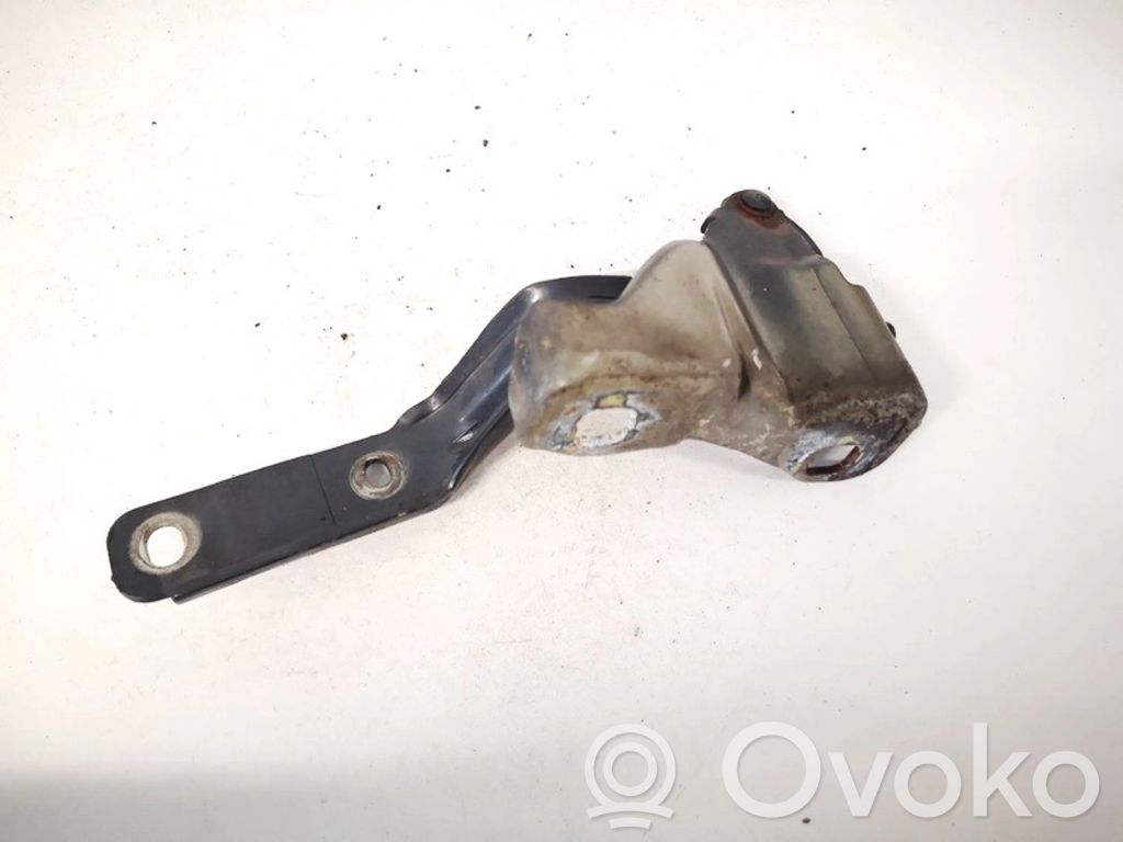 Fiat Stilo Cerniere del vano motore/cofano 