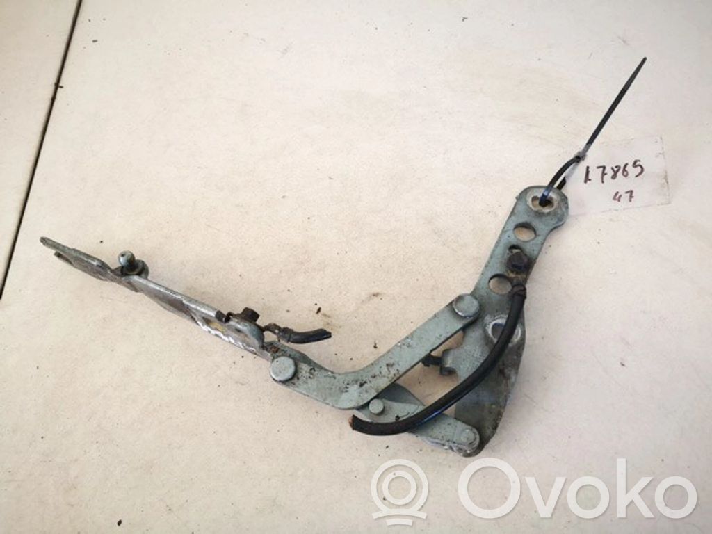 Scharnier Motorhaube   8200123,4161,4161,8200123