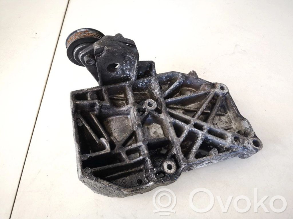 Audi A4 S4 B6 8E 8H Întinzător curea generator/alternator 