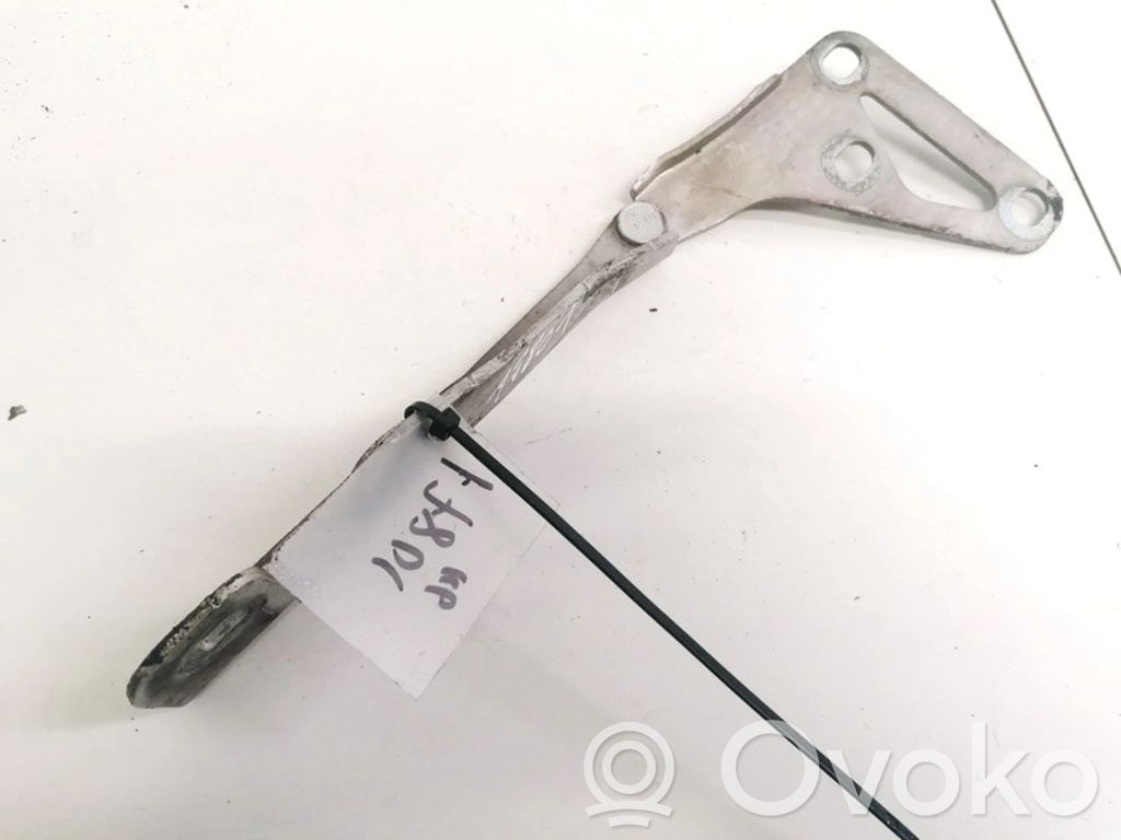 Opel Signum Balamale capotă 