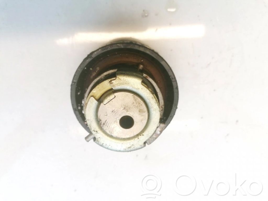 Land Rover Range Rover Sport L320 Rolă întinzător curea alternator