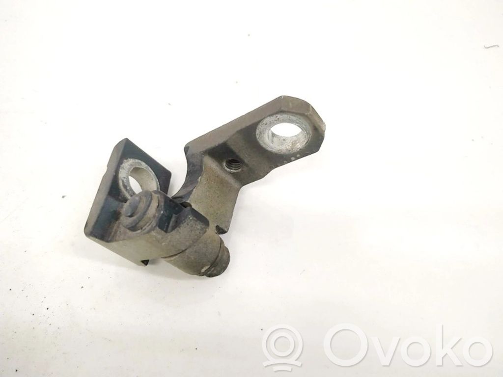 Volkswagen Polo Rear door lower hinge 
